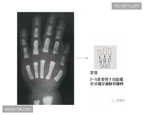 青少年规则中年龄界定与资格判定标准 青少年规则中年龄界定与资格判定标准